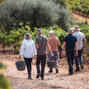 Estandon Vignerons